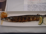 DSC00002.JPG