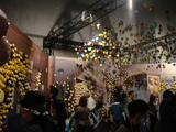 DSC00069.JPG