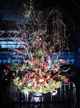 DSC00106.JPG
