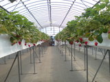 DSC00034.JPG