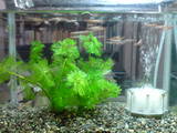 DSC00055.JPG