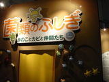 DSC00065.JPG