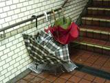 DSC00159.JPG
