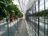 DSC00179.JPG