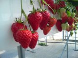 DSC00180.JPG