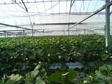 DSC00182.JPG