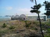 DSC00184.JPG