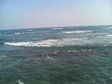 DSC00185.JPG