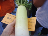 DSC00210.JPG