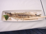 DSC00215.JPG